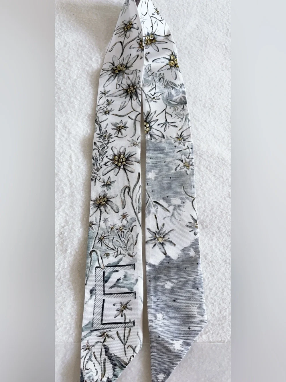 Dior Jardin D’hiver Mitzah Silk Scarf